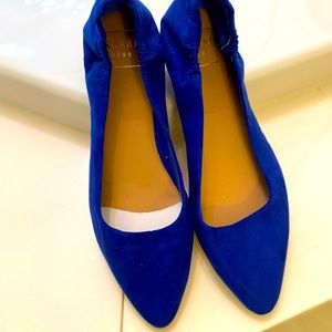 Kaari Blue Jessica Point Toe flats. Never worn